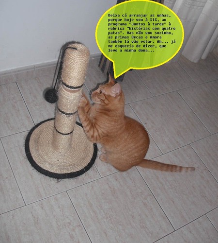 riscas001.JPG riscas001.JPG