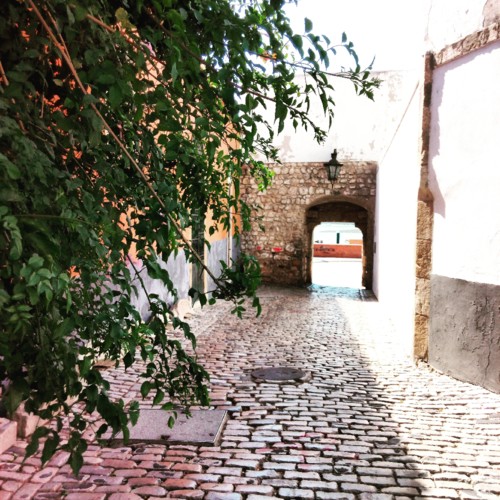 IMG_20171011_232203_561.jpg IMG_20171011_232203_561.jpg