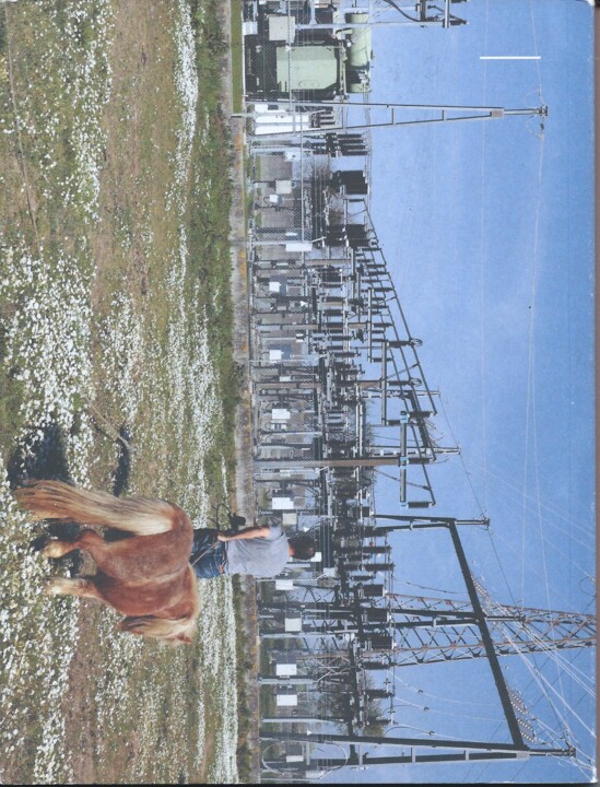 Paisagens Trangénicas.jpg