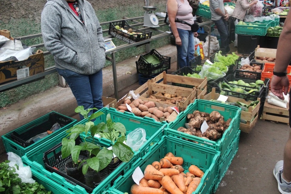 20190929132628_IMG_0455_resized_20191018_092813750