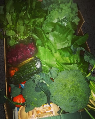 47447995_1255670511239374_1952133112150360064_n.jp