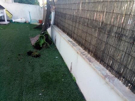 Quintal.jpg Quintal.jpg