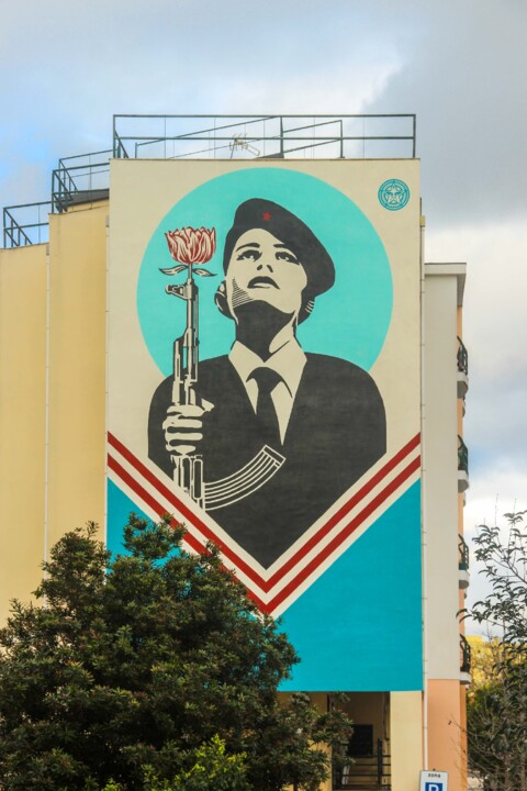 shepard fairey graca-1.jpg