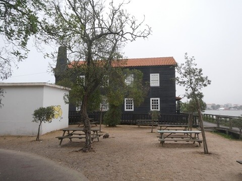 06a_Manhã_Praia_de_Mira (23).JPG