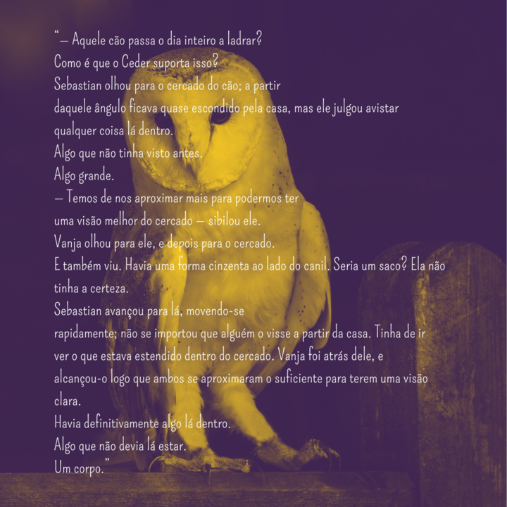 AMeninaSilenciosa3.png AMeninaSilenciosa3.png