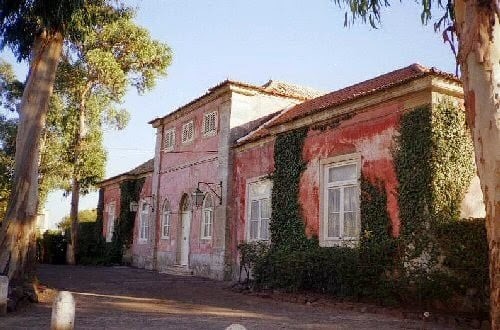 248926151_10209110380074366_6787536365770386528_n.