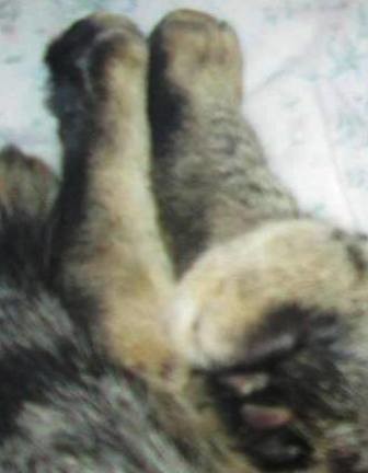 17200945_1866969303575205_1971190244191647294_n.jp