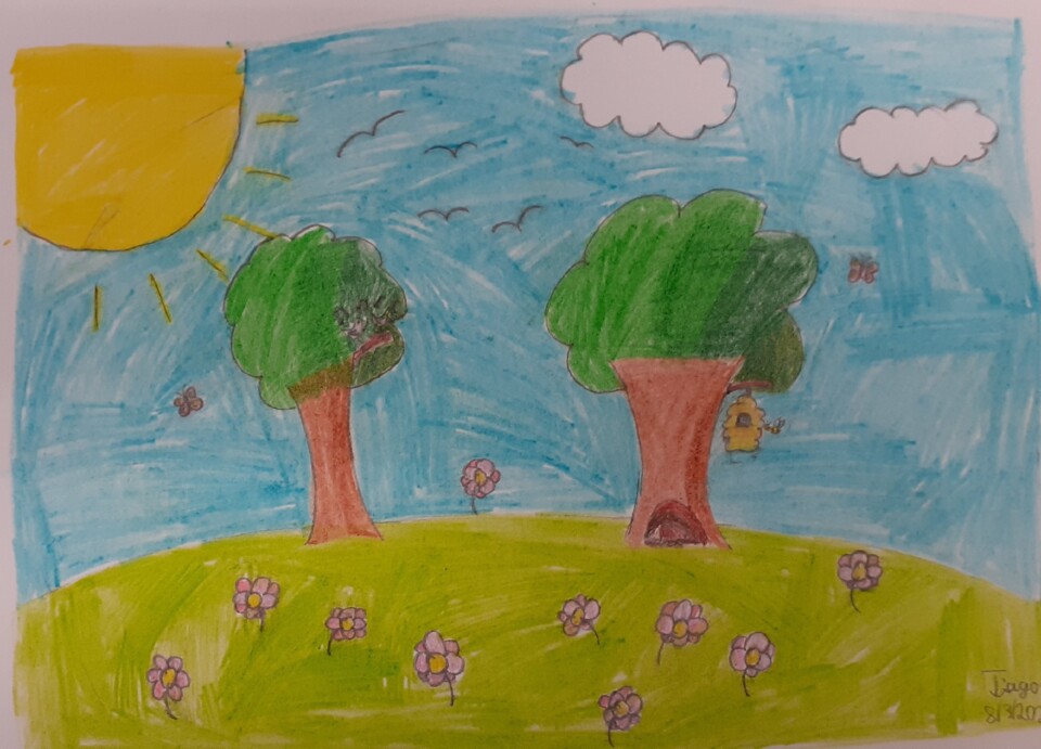 Primavera a chegar.jpg