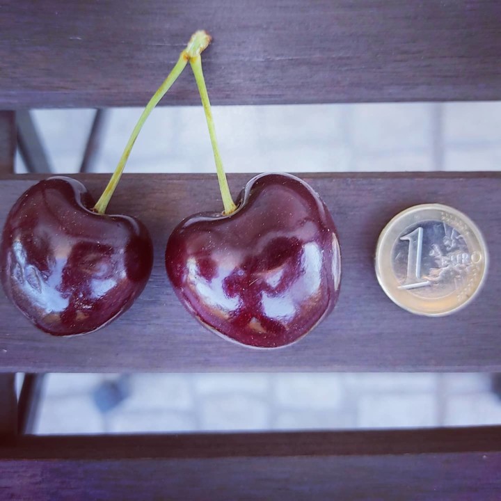 212442945_2059412900865127_2583280279718196808_n.j