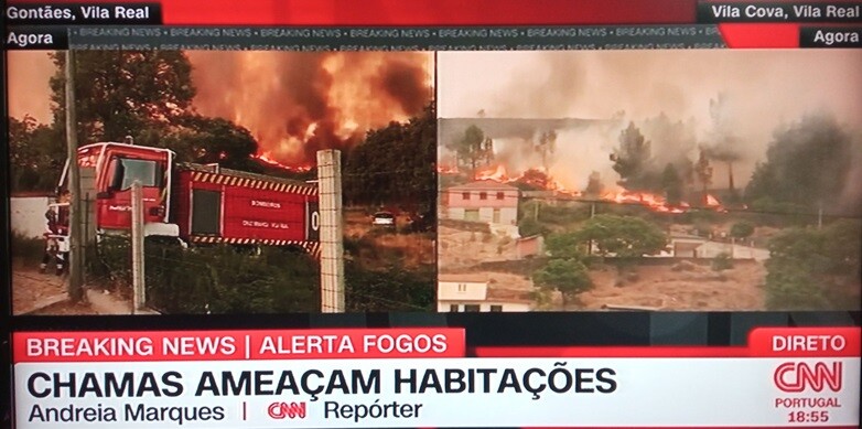 527393225_10230061809037138_8057304289451549574_n.