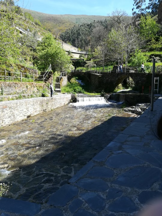 IMG_20190427_161549.jpg