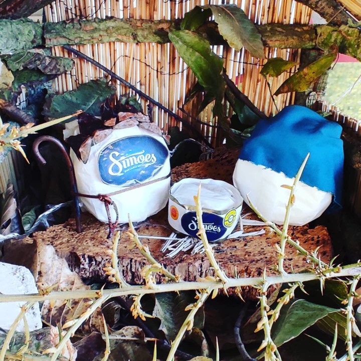 131684232_1906310092842076_2780498005997671907_o.j