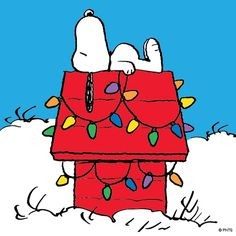 58b33879b175ee896d427cefad970959.jpeg 58b33879b175ee896d427cefad970959.jpeg