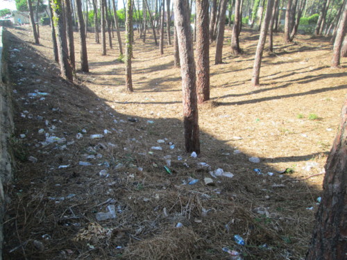 IMG_3797.JPG IMG_3797.JPG