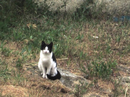 IMG_4064.JPG IMG_4064.JPG