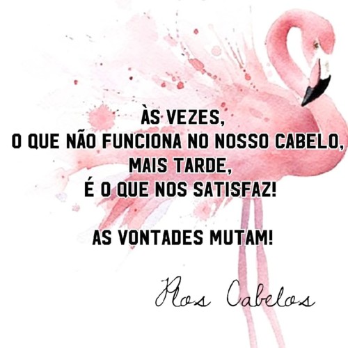 IMG_20180710_235811_636.jpg IMG_20180710_235811_636.jpg