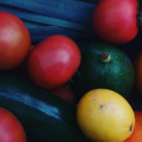 24096595_1499823913406567_4256044889319407616_n.jp