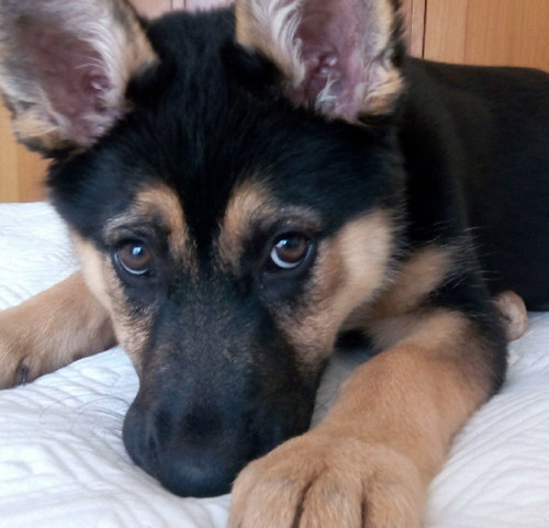 IMG_20150514_160244.jpg IMG_20150514_160244.jpg