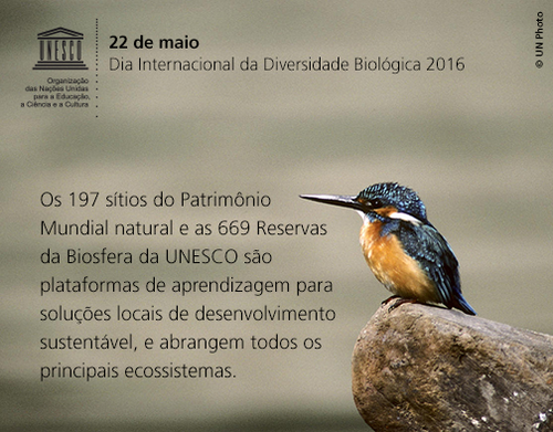 13241414_1158577144163303_4355510044410148779_n.pn