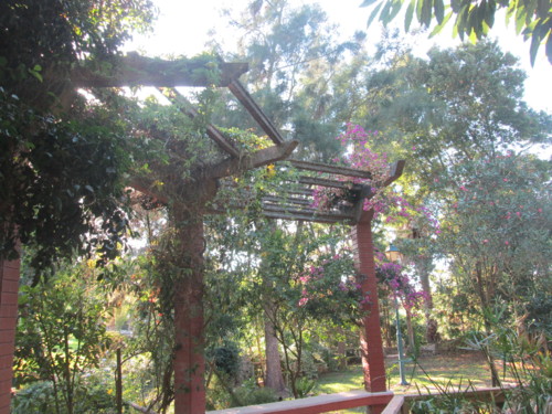 IMG_6669.JPG IMG_6669.JPG