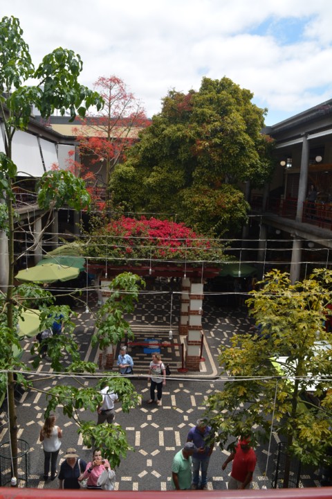 61963290_2243318619047418_1998235591753334784_n.jp