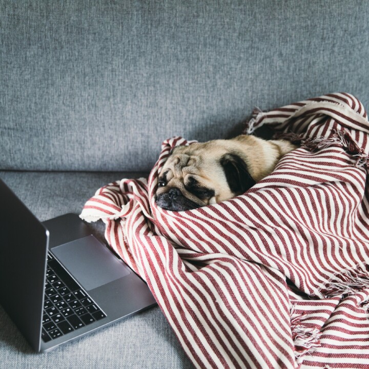 Testes 2024 Posts - HD.jpg