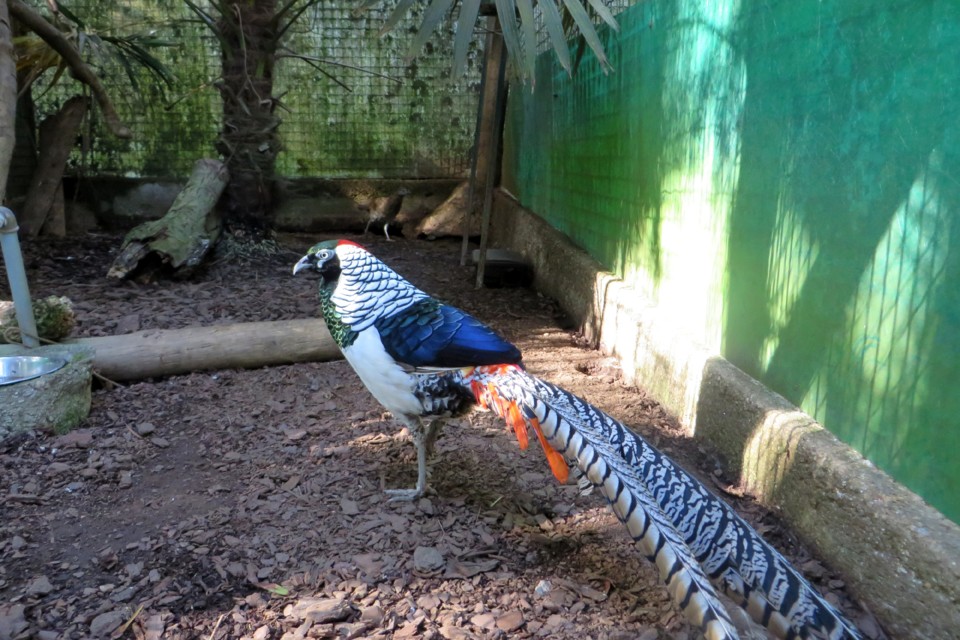 IMG_4523.JPG IMG_4523.JPG