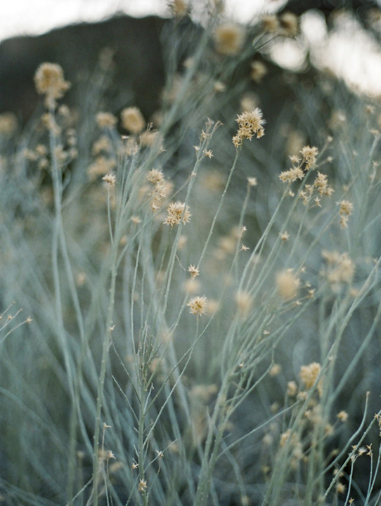 Corro ao passado .jpg