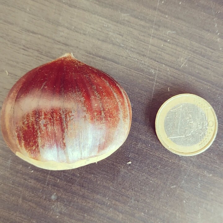 311646184_2439030586236688_3299684520381735692_n.j