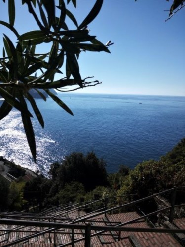 IMG_20180929_103655 (2).jpg