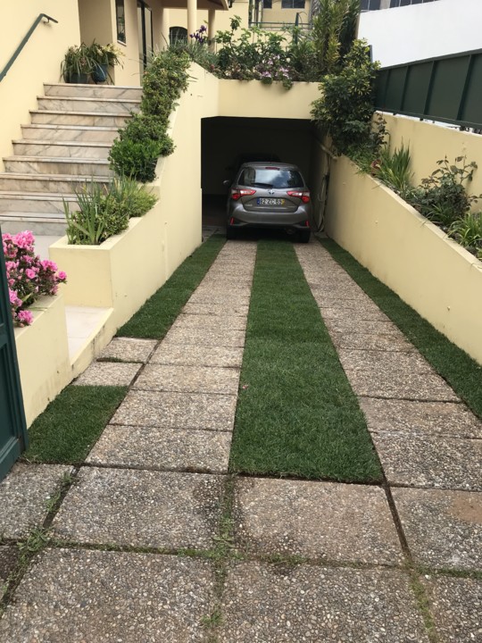 jardim2.jpg jardim2.jpg