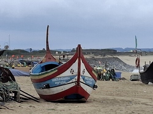 11a_Espinho (54).jpg