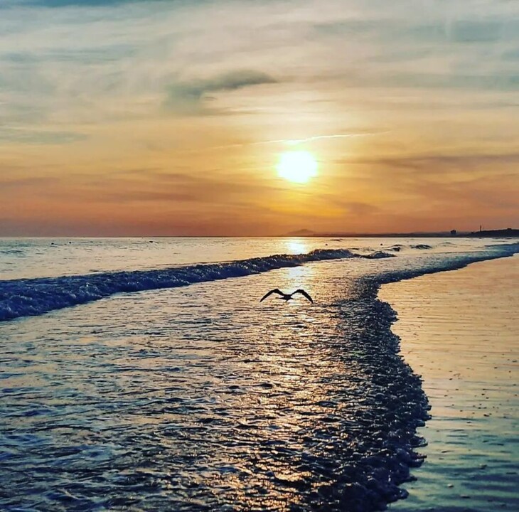 432372979_10227670161798182_5468144727971039469_n.