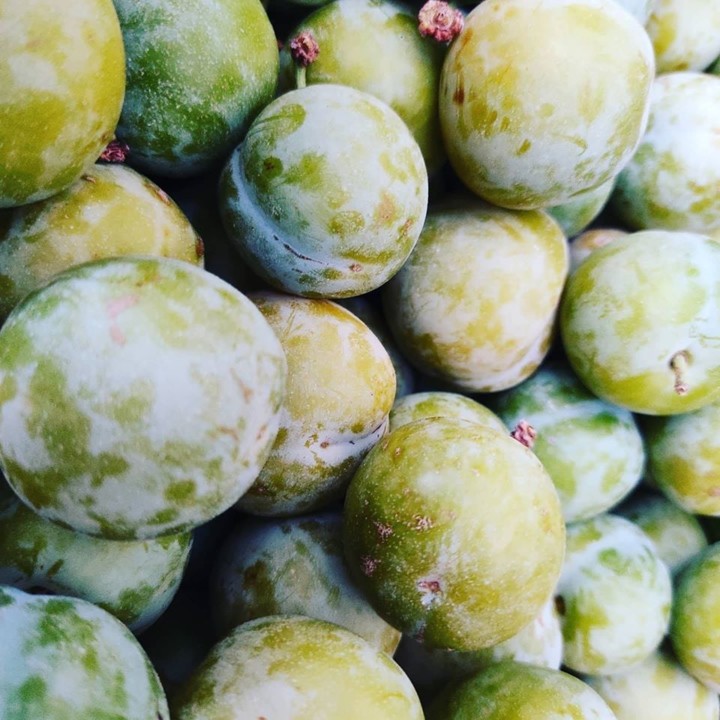 117157754_1770969616376125_8265046893412905875_o.j