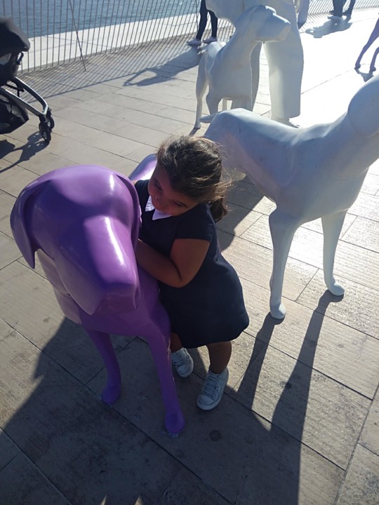 IMG_20190929_163428.jpg IMG_20190929_163428.jpg