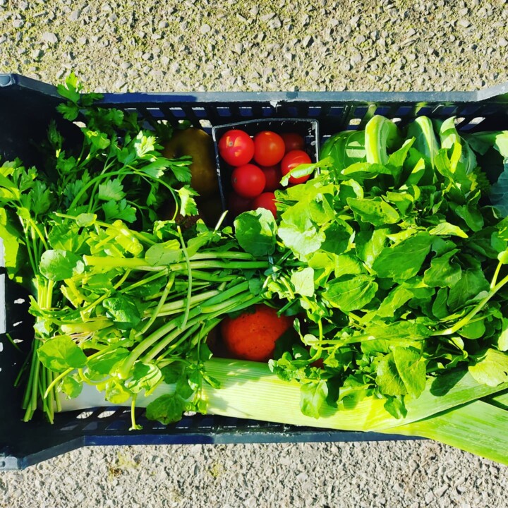 474449351_1004637931693617_6328837136363706168_n.j