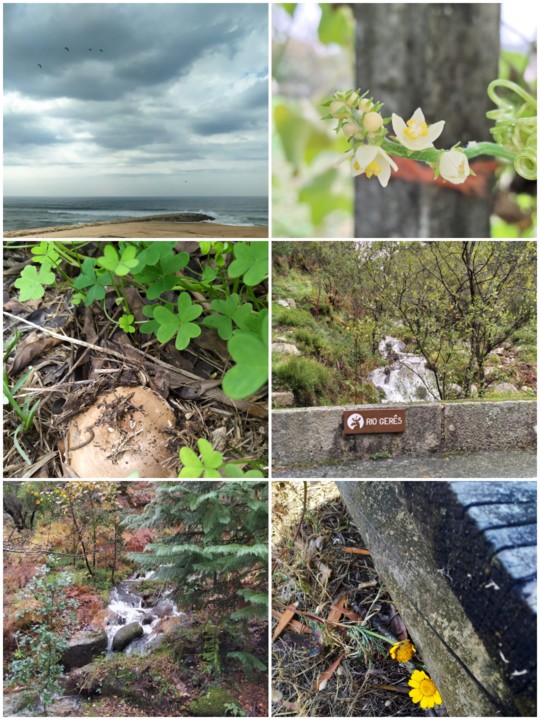 IMG_20210114_220850.jpg IMG_20210114_220850.jpg