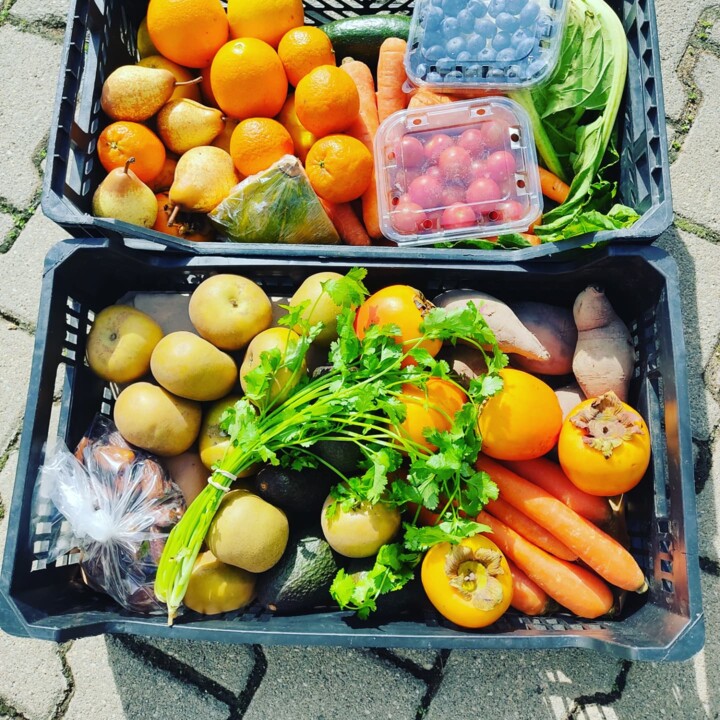 467401190_960022539488490_6965902519885748831_n.jp