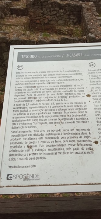 IMG_20210626_170603.jpg IMG_20210626_170603.jpg