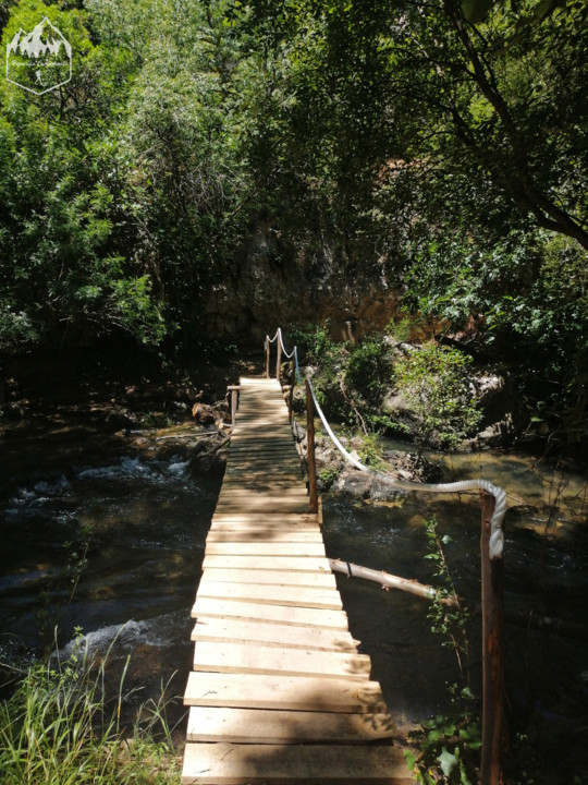 Photo_1596312472299.jpg Photo_1596312472299.jpg