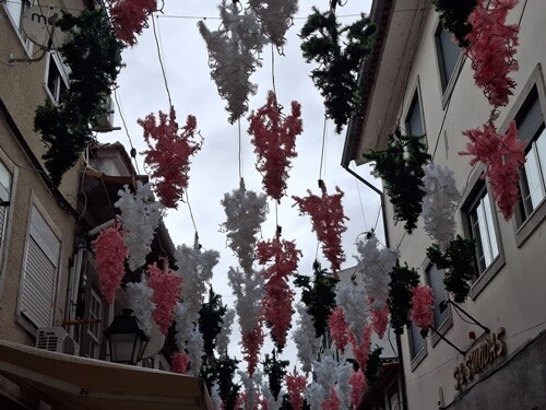 15a_Águeda (106).jpg