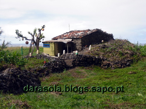 azores_flores_faja_lopo_Vaz_21.JPG azores_flores_faja_lopo_Vaz_21.JPG