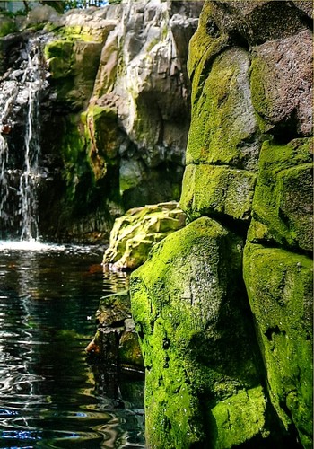 IMG_0052a - Cópia_ (2)_ (3)_tonemapped.jpg IMG_0052a - Cópia_ (2)_ (3)_tonemapped.jpg