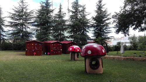 IMG_20170603_102604.jpg IMG_20170603_102604.jpg