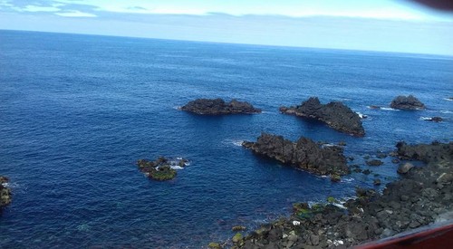 16864784_1280983561970348_1036540591856930637_n.jp