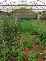 IMG_8513.JPG IMG_8513.JPG