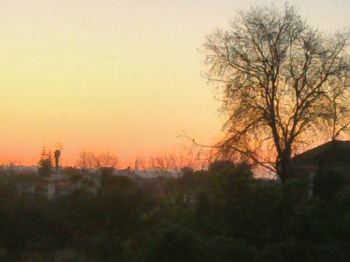 12923226_10207228797576852_6244972709500717395_n.j