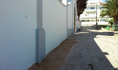 14522966_1783788528499783_1595509922091200923_n.jp