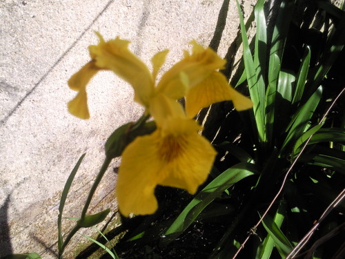 Foto0941.jpg Foto0941.jpg