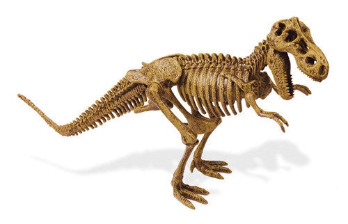 Escavações Fósseis - T-Rex, Brinquedos para Crianças